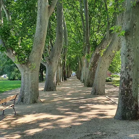 In - Balaton 43407 アパート シオーフォク