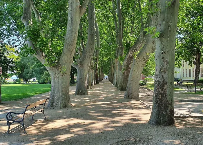 In - Balaton 43407 アパート シオーフォク